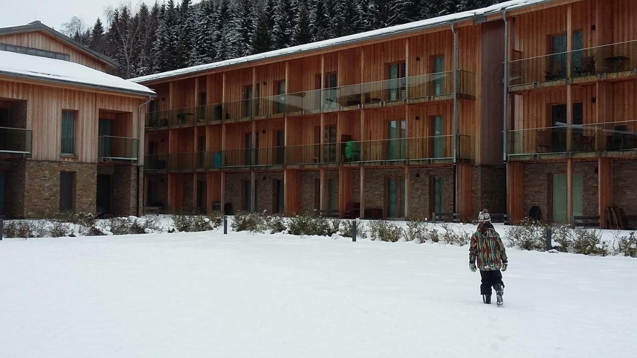 Apartman Medvedin 109 スピンドレルフ・ムリン エクステリア 写真
