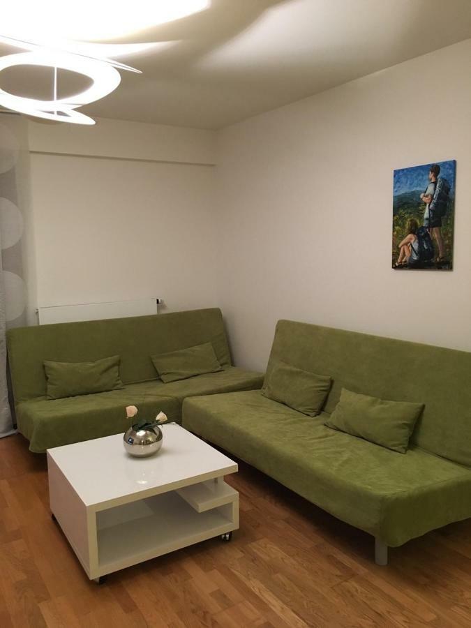 Apartman Medvedin 109 スピンドレルフ・ムリン エクステリア 写真